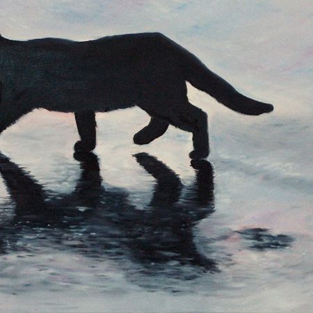 Black Cat Black Cat
