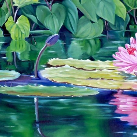 Water Lily Reflection