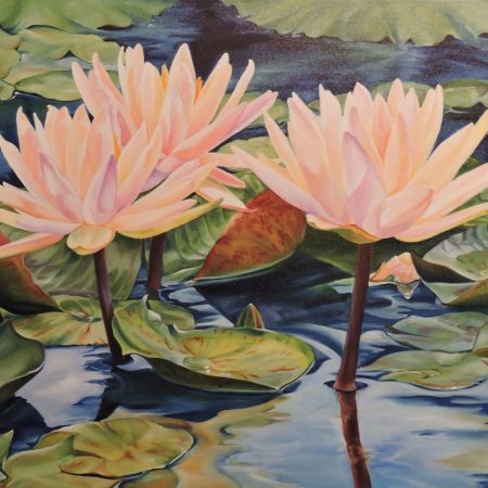 Waterlilies